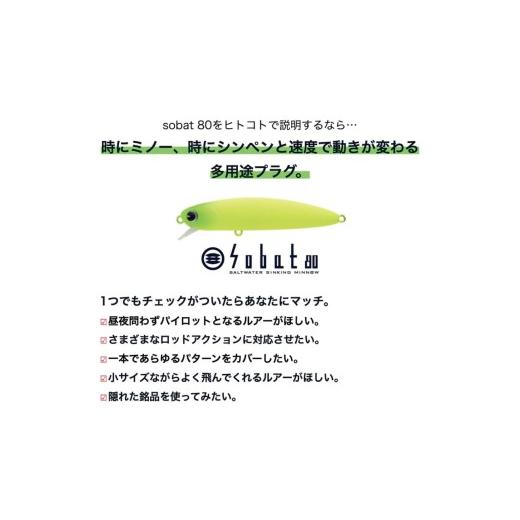 ふるさと納税 フィッシング ルアー・フライ 千葉県 旭市 ima ルアー Sobat80 ボラ 釣り用品 釣具 釣り具 釣り用品 アウトドア フィッシング シンキングミノー …の画像