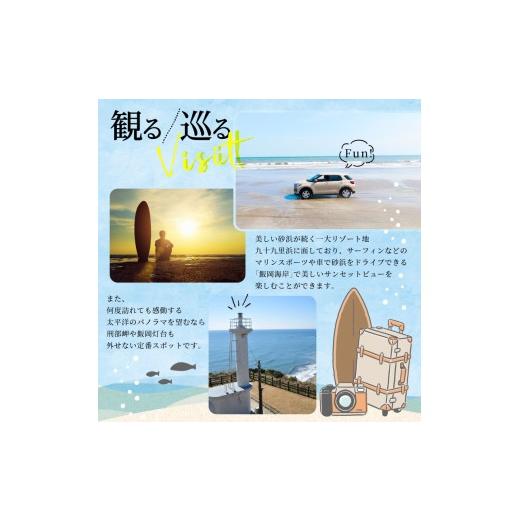 ふるさと納税 フィッシング ルアー・フライ 千葉県 旭市 ima ルアー Yoichi99 ボラ 釣り用品 釣具 釣り具 釣り用品 アウトドア フィッシング シンキングミノー…の画像