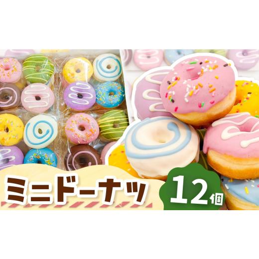 ふるさと納税 焼菓子・チョコレート ドーナツ 東京都 調布市 メディアで話題沸騰 ミニドーナツ12個セット | SIUNAUS SWEETS シウナススイーツ スイーツ お菓子…