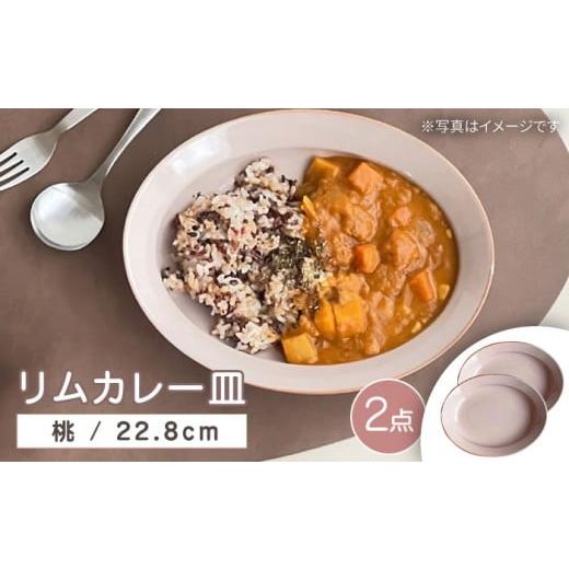 ふるさと納税 食器・グラス 皿 愛知県 瀬戸市 瀬戸焼 リムカレー皿 2枚セット(桃) 株式会社カネ三商店 / 皿 食器 カレー皿 ギフト プレゼント / 瀬戸市 B…