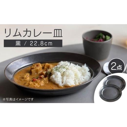 ふるさと納税 食器・グラス 皿 愛知県 瀬戸市 瀬戸焼 リムカレー皿 2枚セット(黒) 株式会社カネ三商店 / 皿 食器 カレー皿 ギフト プレゼント / 瀬戸市 B…