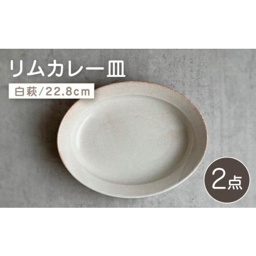 ふるさと納税 食器・グラス 皿 愛知県 瀬戸市 瀬戸焼 リムカレー皿 2枚セット(白萩) 株式会社カネ三商店 / 皿 食器 カレー皿 ギフト プレゼント / 瀬戸市…