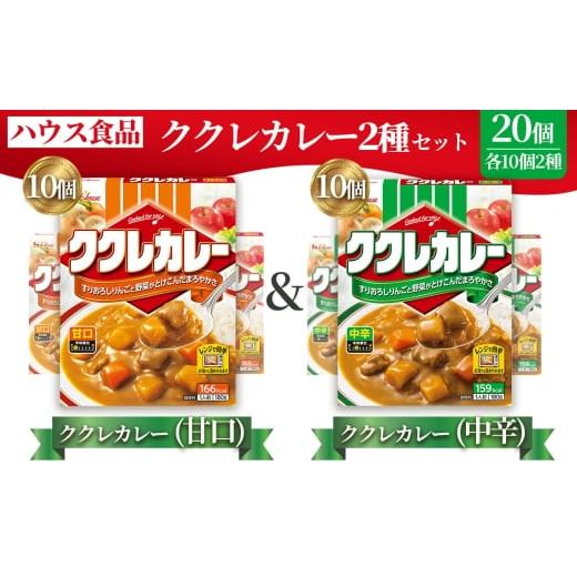 ふるさと納税 加工品等 レトルト 愛知県 江南市 ハウス ククレカレー 甘口&中辛 各10個 レトルト食品 レンジ対応商品 / レトルトカレー カレー ハウス…