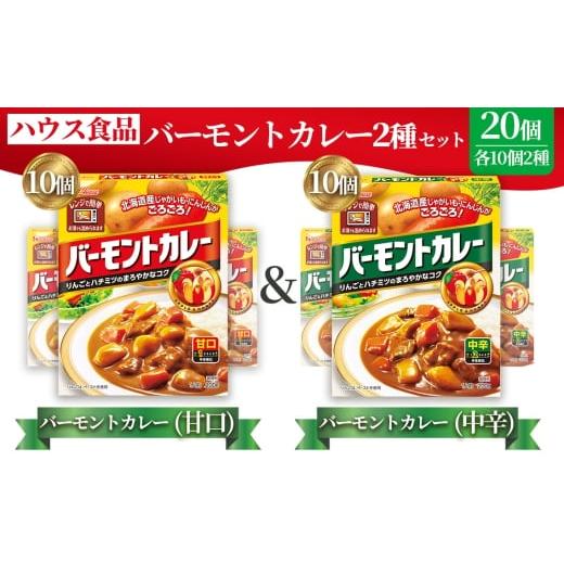 ふるさと納税 加工品等 レトルト 愛知県 江南市 バーモントカレー 甘口&中辛 各10個 レトルト食品 レンジ対応商品 / レトルトカレー カレー ハウス食品 …