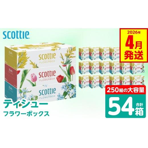 ふるさと納税 雑貨・日用品 熊本県 八代市 スコッティ ティシュー フラワーボックス 250組 3箱パック×18 合計54箱 ティッシュ 日用品 生活必需品 防災備蓄 …