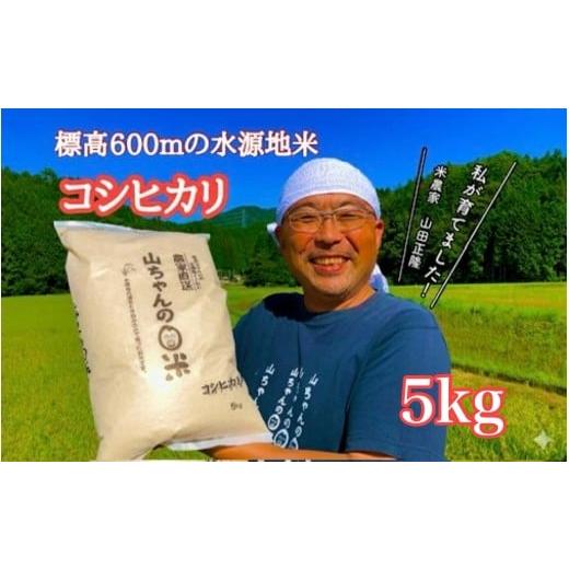 ふるさと納税 米 コシヒカリ 岐阜県 八百津町 10月1日発送開始 令和7年度産 農家直送「山ちゃんのお米」コシヒカリ5kg 残留農薬202項目検査済み 残留放射能測…
