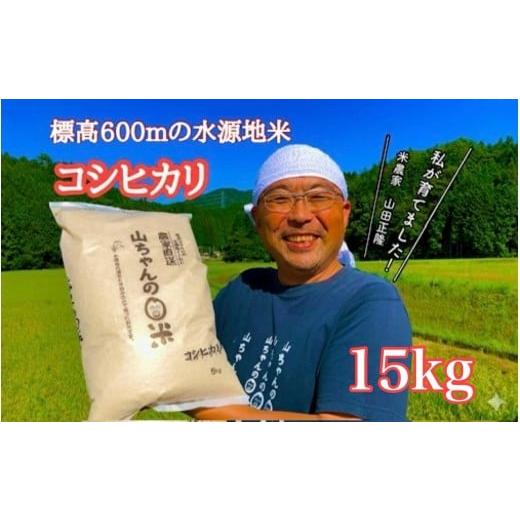 ふるさと納税 米 コシヒカリ 岐阜県 八百津町 令和7年度産 農家直送「山ちゃんのお米」コシヒカリ15kg 残留農薬202項目検査済み 残留放射能測定済み (542) 15k…