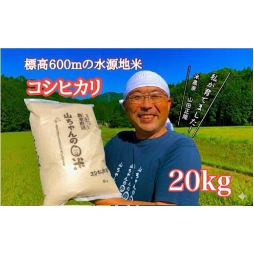 ふるさと納税 米 コシヒカリ 岐阜県 八百津町 令和7年度産 農家直送「山ちゃんのお米」コシヒカリ20kg 残留農薬202項目検査済み 残留放射能測定済み (543) 20k…