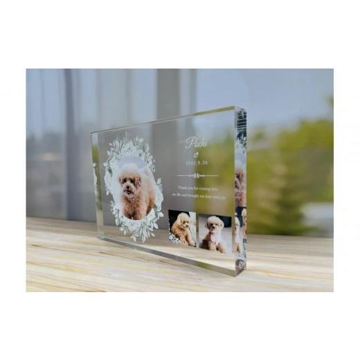 ふるさと納税 雑貨・日用品 インテリア 大阪府 大東市 思い出の写真をアクリル素材に アクリルスタンド