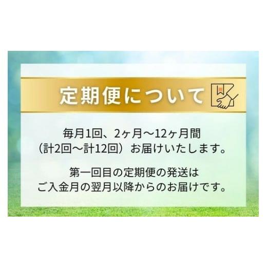 ふるさと納税 お茶類 緑茶（飲料） 静岡県 御殿場市 定期便6ヶ月 静岡県産 緑茶 500ml×48本 ｜ ラベルレス ペットボトル お茶 飲料 沖縄・離島への配送不可