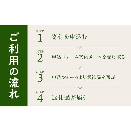 ふるさと納税 カタログ 愛知県 豊橋市 ＼あとから選べる ／花・観葉植物カタログ 5万5千円分 オンライン 有効期限なし 後から選べる 植物 グリーン 花 お花 胡…_4