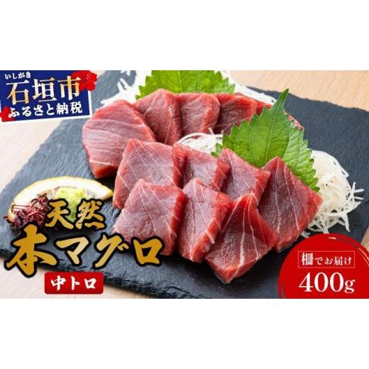 ふるさと納税 マグロ 沖縄県 石垣市 数量限定 石垣島産 天然本マグロ 中トロ 約400g ヤエスイ 2025年6月下旬より発送 | 産地直送 中トロ 中とろ 国産 まぐろ …