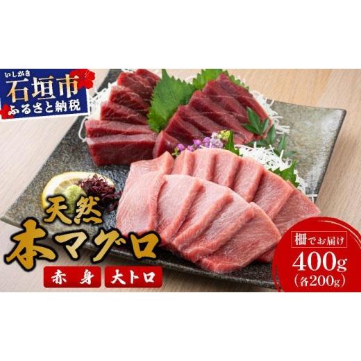 ふるさと納税 マグロ 沖縄県 石垣市 数量限定 石垣島産 天然本マグロ 赤身 &amp; 大トロ 約400g ヤエスイ マグロ船直送 2025年6月下旬より発送 | 産地直送 大…