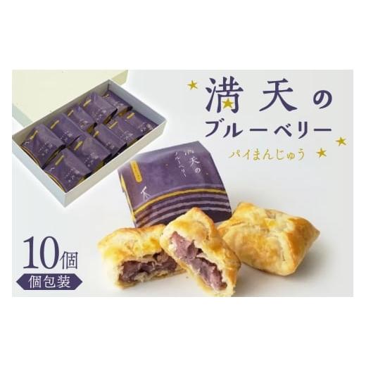 ふるさと納税 焼菓子・チョコレート 石川県 宝達志水町 お菓子 個包装 満天のブルーベリー 10個入 谷口製菓 石川県 宝達志水町38601295 菓子 焼菓子 菓子折り …