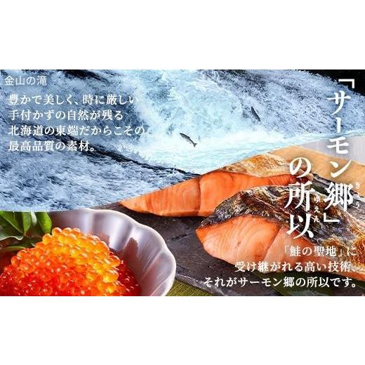 ふるさと納税 いくら 北海道 標津町 北海道産 いくら 醤油漬 120g パック 国産 天然 人気 おすすめ さけ サケ 鮭 鮭いくら 鮭イクラ いくら醤油漬 醤油漬け し…の画像