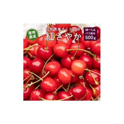ふるさと納税 果物類 さくらんぼ 山形県 寒河江市 [先行予約]令和8年産 さくらんぼ 紅さやか バラパック 500g(パック含む)Mサイズ 秀品 山形県産 2026年5…