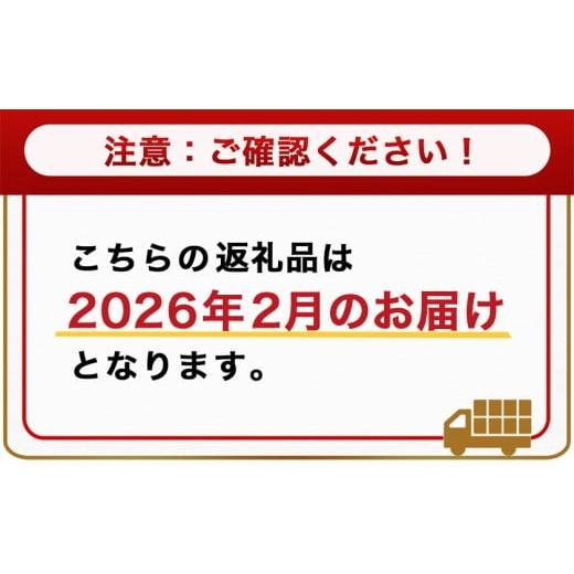 ふるさと納税 豚肉 セット 宮崎県 都城市 2026年2月お届け 宮崎県産豚わくわく2.4kgセット(真空)_14-8406-s-2602_(都城市) 豚肉 豚肉セット 宮崎県産豚 しゃ…