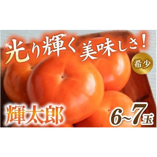 ふるさと納税 果物類 柿 和歌山県 かつらぎ町 希少な高級甘柿 先行予約 〇 輝太郎 〇 6〜7玉入り 2026年9月中旬〜10月上旬頃発送予定 / 柿 かき フルーツ果…