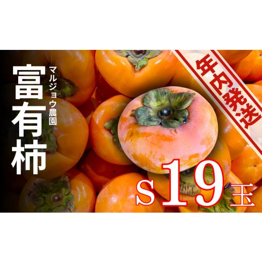ふるさと納税 果物類 柿 岐阜県 本巣市 年内発送 令和7年産マルジョウ農園の家庭用富有柿 S 19個 | 柿 かき カキ フルーツ 果物 くだもの 年内配送 年内お届…