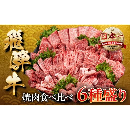 ふるさと納税 牛肉 焼肉・バーベキュー 岐阜県 本巣市 6月発送 A5 等級 飛騨牛 焼肉 6種 800g 食べ比べ 飛騨牛 焼肉 やきにく ヤキニク サイコロステーキ 高…