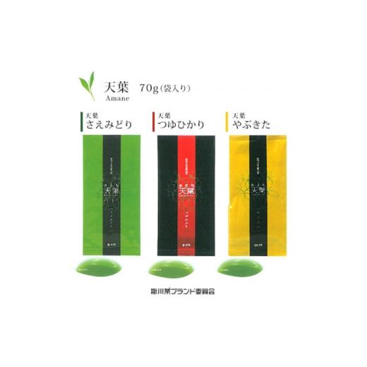 ふるさと納税 お茶類 静岡県 掛川市 深蒸し煎茶 天葉 3袋セット 1692604