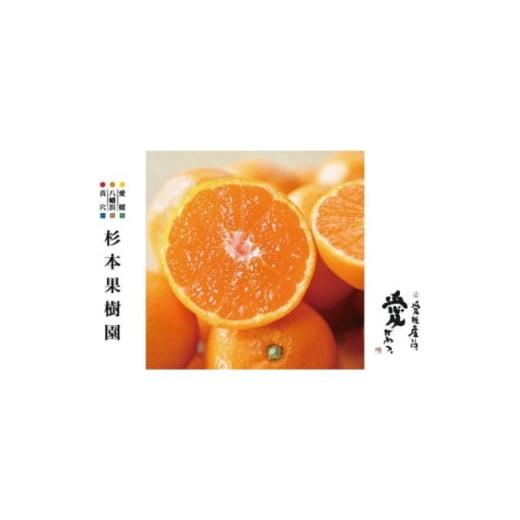 ふるさと納税 果物類 みかん 愛媛県 八幡浜市 家庭用 真穴、八寿みかん(南柑20号)3kg A34-39 1692444