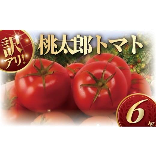 ふるさと納税 野菜類 トマト 神奈川県 藤沢市 訳あり ハウス桃太郎トマト6kg トマト 野菜 やさい 果物 とまと 2026年4月発送 tomato 甘い リコピン トマト フ…