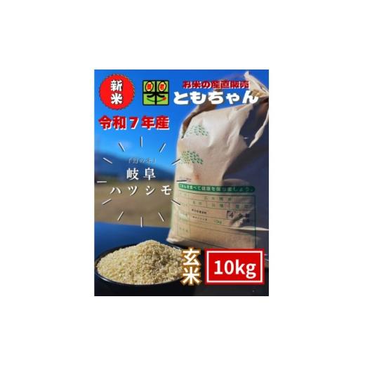 ふるさと納税 玄米 岐阜県 養老町 令和7年産 岐阜ハツシモSL 玄米 10kg 1688832