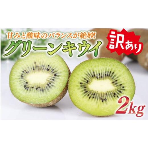 ふるさと納税 果物類 静岡県 牧之原市 訳あり キウイ 2kg フルーツ 果物 スイーツ グリーン キウイ 王道 きうい ヘイワード 産地直送 くだもの デザート ギフ…