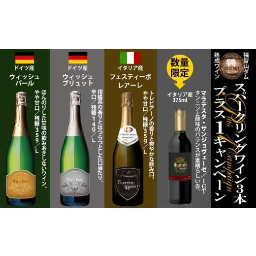 ふるさと納税 ワイン セット 福岡県 直方市 数量限定 1本追加 福智山ダム熟成 スパークリングワイン 3本詰め合わせ セット FD323 750ml+イタリア産赤ワイン …
