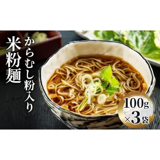 ふるさと納税 麺類 新潟県 十日町市 米粉麺 からむし粉入り米粉麺100g×3袋 麺類 新潟