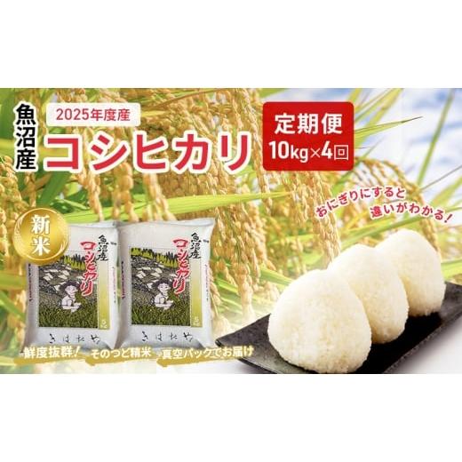ふるさと納税 米 コシヒカリ 新潟県 十日町市 魚沼産コシヒカリ特上米10kg(5kg×2)×4回定期便(隔月)