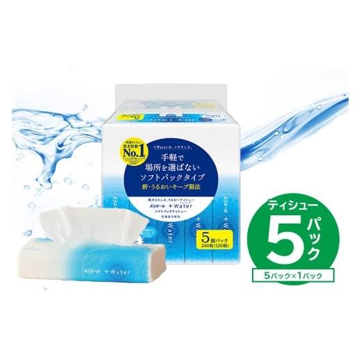 ふるさと納税 雑貨・日用品 岐阜県 可児市 エリエール +Water(プラスウォーター)ソフトパックティシュー 120W5P×1パック ソフトパックティッシュ ティッシ…