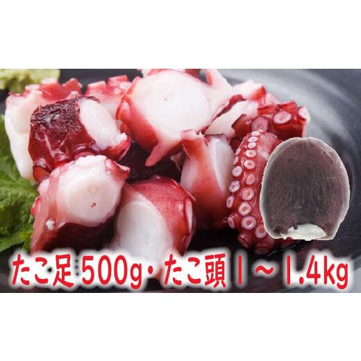 ふるさと納税 タコ 北海道 根室市 B-19003 北海道根室産 たこ足500g・たこ頭1〜1.4kg