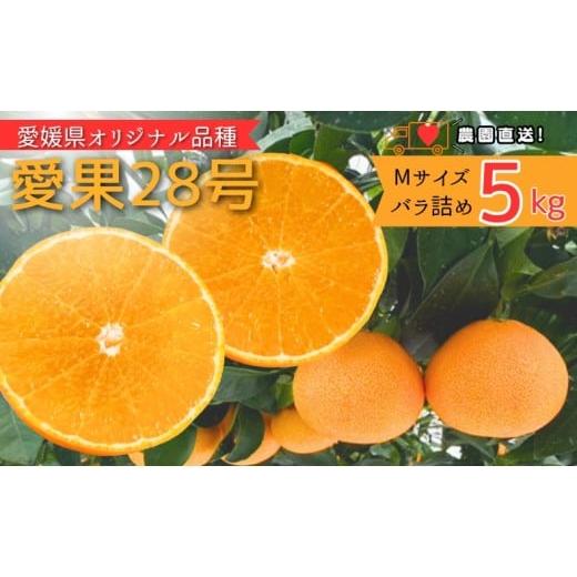 ふるさと納税 みかん・柑橘類 愛媛県 伊予市 みかん 愛果28号 5kg Mサイズ バラ詰め 紅まどんなと同一品種 農園直送 先行予約 11月下旬から順次発送予定 愛媛 …