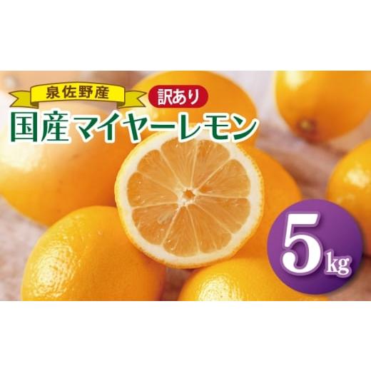 ふるさと納税 みかん・柑橘類 レモン 大阪府 泉佐野市 チョイス限定 国産マイヤーレモン 5kg 泉佐野産 フルーツ 果物 れもん 檸檬 産地直送 訳あり サイズ不…