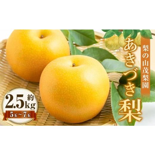 ふるさと納税 梨 福岡県 うきは市 先行予約 梨の山茂梨園 あきづき梨 5玉から7玉(約2.5kg) 2026年9月上旬〜下旬発送予定 梨 なし ナシ 果物 くだもの フル…