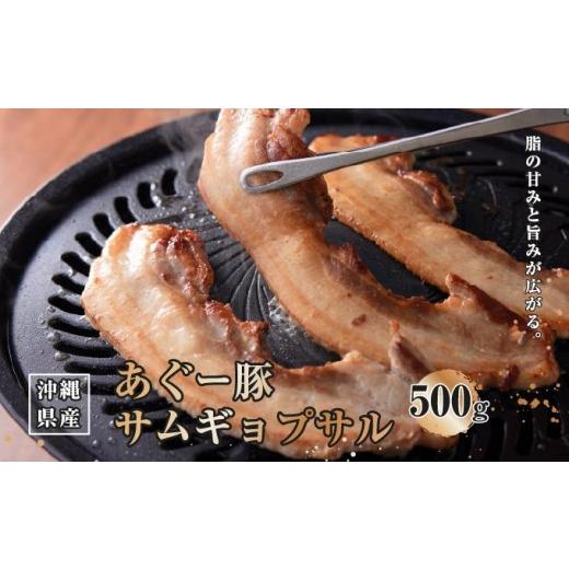 ふるさと納税 豚肉 沖縄県 南城市 沖縄県産あぐー豚サムギョプサル500g I あぐー 豚 サムギョプサル 500g 豚肉 国産 沖縄県 南城市 500g×1P