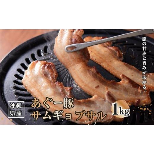 ふるさと納税 豚肉 沖縄県 南城市 沖縄県産あぐー豚サムギョプサル1kg(500g×2) I あぐー 豚 サムギョプサル 1kg 豚肉 国産 沖縄県 南城市 ふるさと納税 ト…