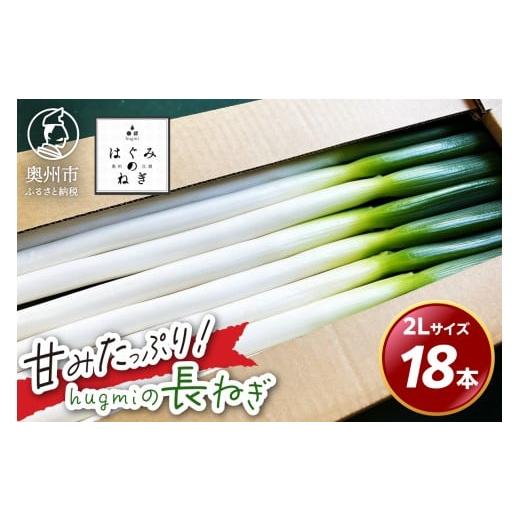 ふるさと納税 野菜類 ねぎ 岩手県 奥州市 hugmiの長ねぎ 3kg 2Lサイズ 奥州市産 甘みたっぷり 冬ねぎ 冬野菜 生鮮食品 新鮮 野菜 食品 冷蔵配送 期間限定 離島…