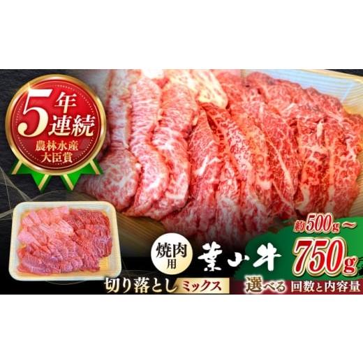 ふるさと納税 牛肉 ロース 神奈川県 葉山町 全3回定期便 葉山牛 500g 焼肉用ミックス(ロース、モモ、カルビ等) / 牛肉 黒毛和牛 神奈川県 特産品 葉山牛…