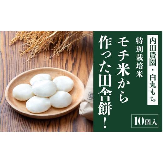 ふるさと納税 乾物 福井県 福井市 モチ米から作った田舎餅 10個入 ピロール農法 A-168005 / 餅 タンチョウモチ米 モチ米 米 モチ コシ 粘り 国産 送料無料 雑…