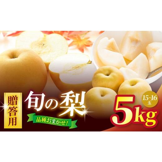 ふるさと納税 梨 長野県 松本市 先行予約 贈答用 信州松本平産 梨 幸水・豊水・南水 おまかせ詰め合わせセット 約5kg(15〜16玉) |フルーツ 果物 甘い 梨 …