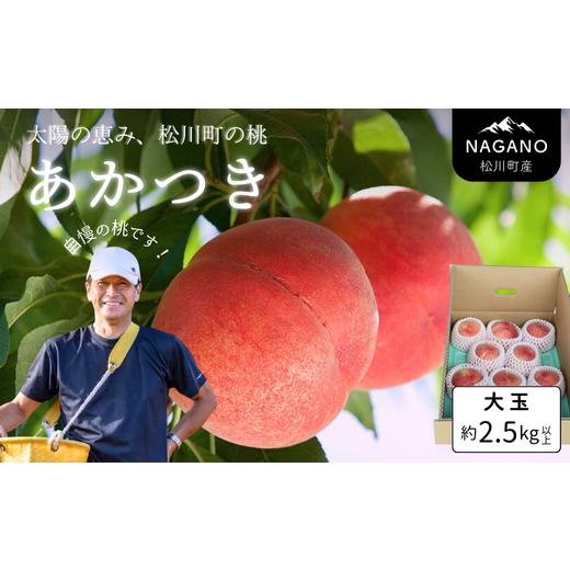 ふるさと納税 もも 長野県 松川町 KM013-26A 先行予約 桃 あかつき 大玉 2.5kg以上(6玉)/2026年7月下旬頃〜配送予定 // 長野県 南信州 松川町 モモ 贈答 …