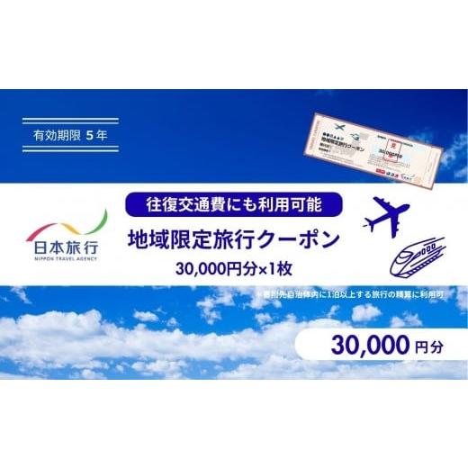 ふるさと納税 宿泊券 ホテル 鳥取県 鳥取市 鳥取県鳥取市 日本旅行 地域限定旅行クーポン30,000円分