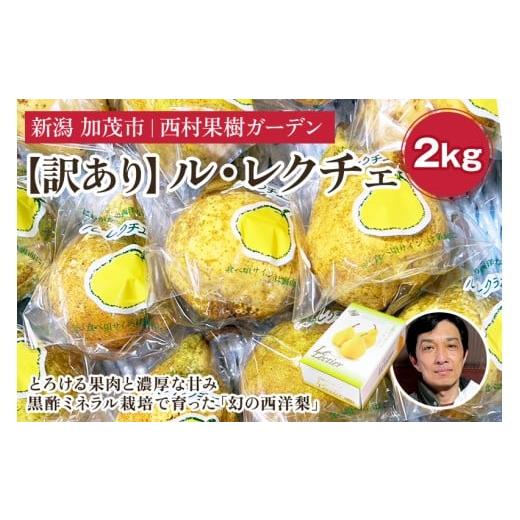 ふるさと納税 梨 新潟県 加茂市 2025年 訳あり 西村の黒酢ミネラル栽培「ル・レクチェ」2kg(5〜7玉)[11月下旬〜順次発送] 幻の西洋梨 梨 果実 フルーツ …