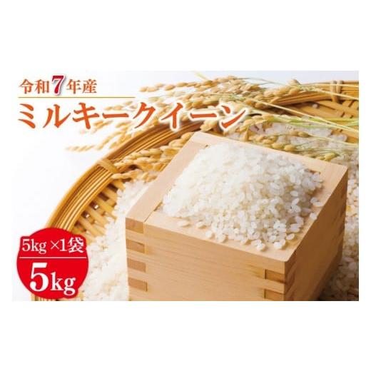 ふるさと納税 米 ミルキークイーン 茨城県 行方市 数量限定 R7年産 ミルキークイーン 5kg|米 お米 白米 精米 R7年産 令和7年産 ミルキークイーン 茨城県 茨…
