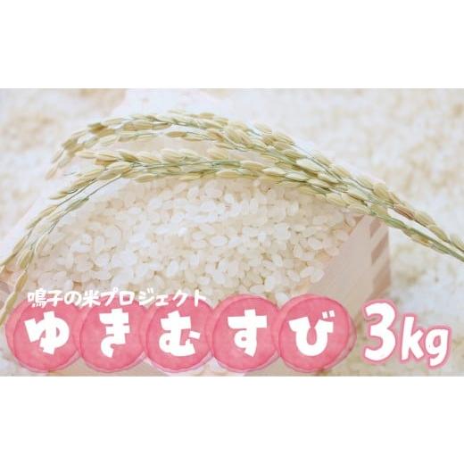 ふるさと納税 米 宮城県 大崎市 鳴子の米プロジェクト ゆきむすび3kg 2025年産 |宮城県大崎市鳴子温泉産米