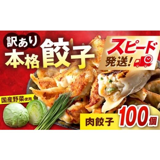 ふるさと納税 惣菜・レトルト 神奈川県 横須賀市 訳あり 本格 肉餃子 100個セット本格 餃子 ぎょうざ 国産 ギョーザ 野菜 わけあり ワケアリ 冷凍餃子 ぎょう…