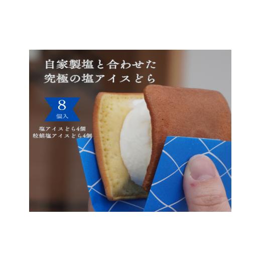 ふるさと納税 和菓子 どら焼き 鳥取県 米子市 塩どら焼き専門店の塩アイスどら2種食べ比べ8個セット